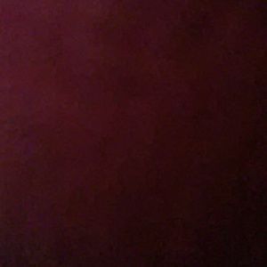 Meet your Posher, Penelope w